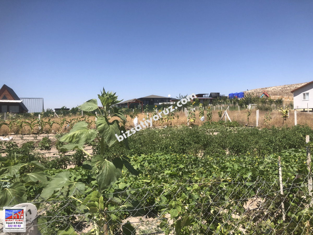 MURAT YILMAZ EMLAK'TAN YUKARI ÇAĞLAN KÖYÜNDE SATILIK FOBİ BAHÇELİK ARSA