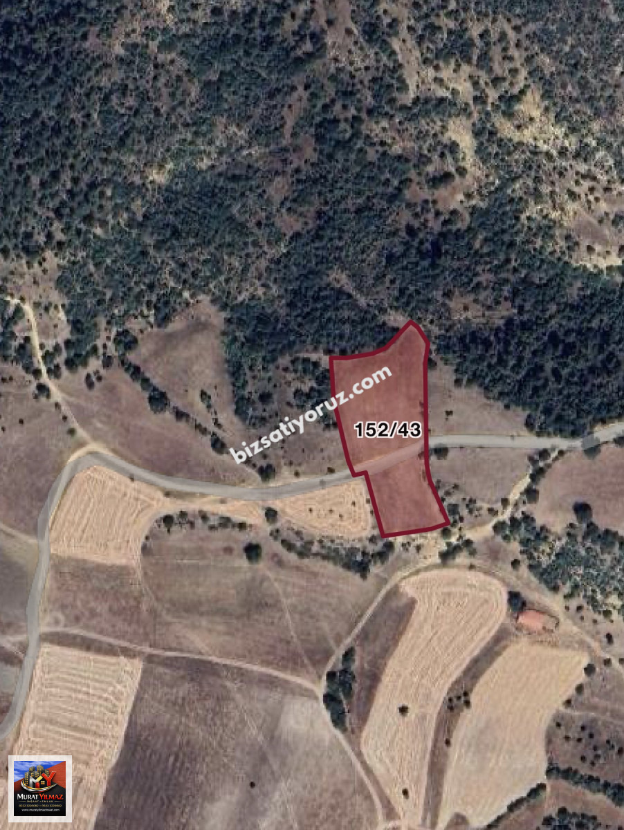  MURAT YILMAZ İNŞAAT EMLAK’TAN BİLECİK SÖĞÜT KAYHAN YALACIK MEVKİİNDE SATILIK  5,918 MT 2 TARLA! 